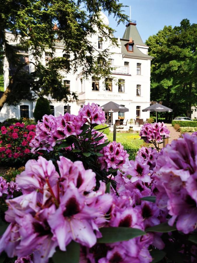 Hotel Fryderyk Душники-Здруй Екстер'єр фото