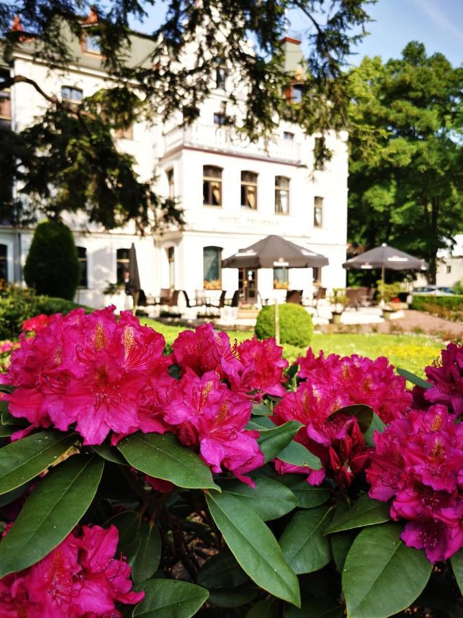 Hotel Fryderyk Душники-Здруй Екстер'єр фото