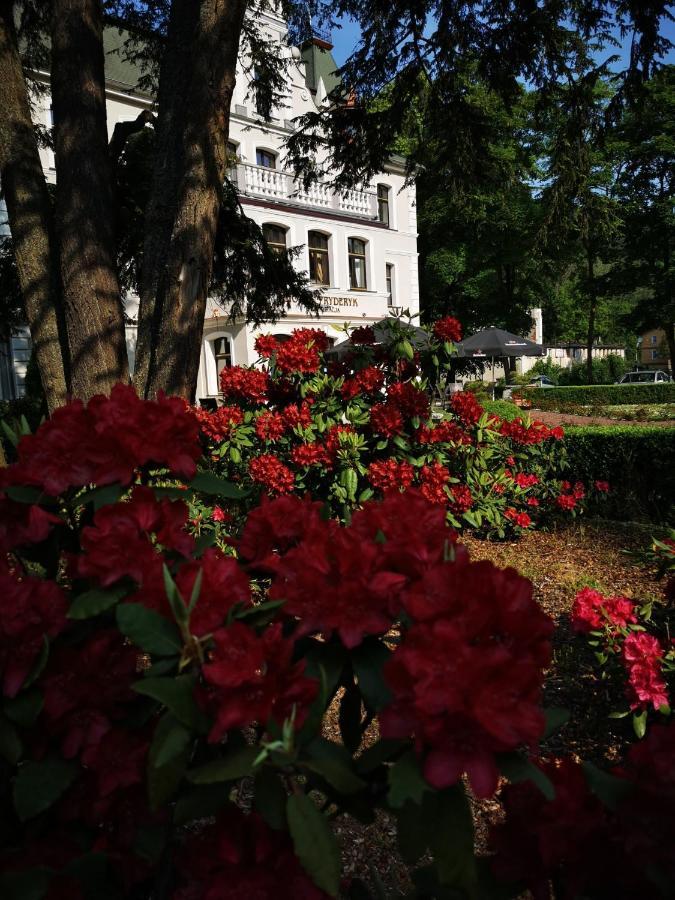 Hotel Fryderyk Душники-Здруй Екстер'єр фото
