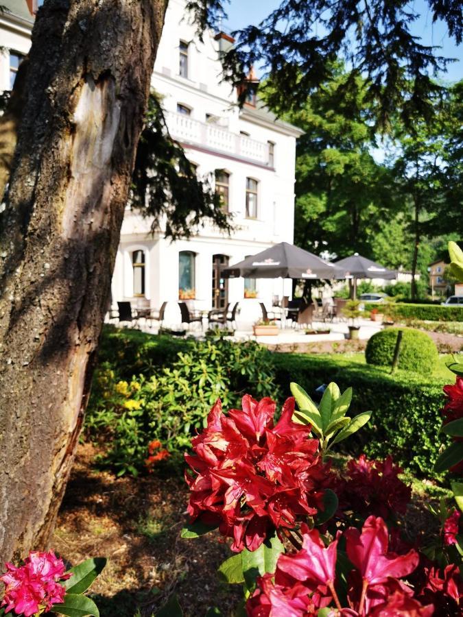 Hotel Fryderyk Душники-Здруй Екстер'єр фото