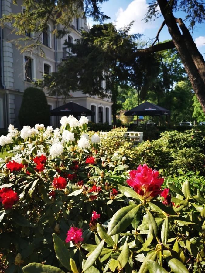 Hotel Fryderyk Душники-Здруй Екстер'єр фото