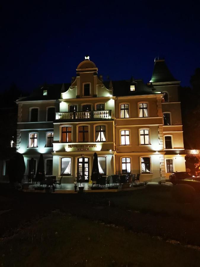 Hotel Fryderyk Душники-Здруй Екстер'єр фото